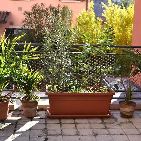 Lägenhet Da Emi E Giuly